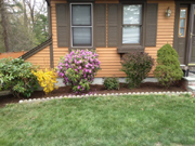Coy's Hydroseeding and Lawn Care